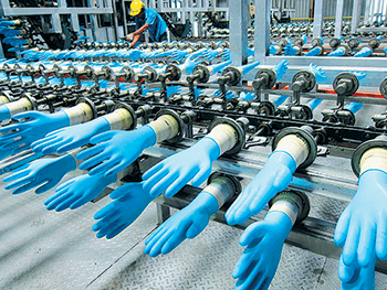 Global rubber glove demand expected to grow 8% to 10%