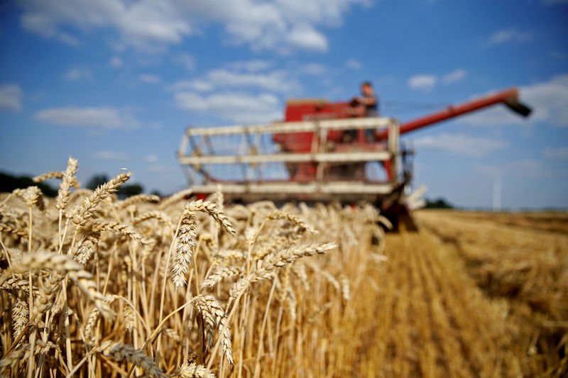 Global wheat supply to crisis levels; big China stocks won