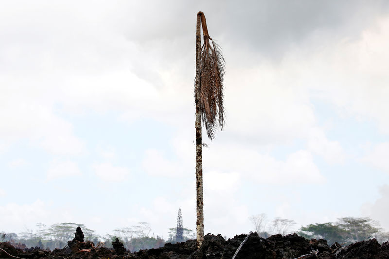 Huge fissure opens on Hawaiian volcano; some defy evacuation order