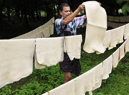 India: Big leap in natural rubber exports