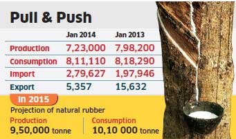 India: Natural rubber imports drop 20% in January