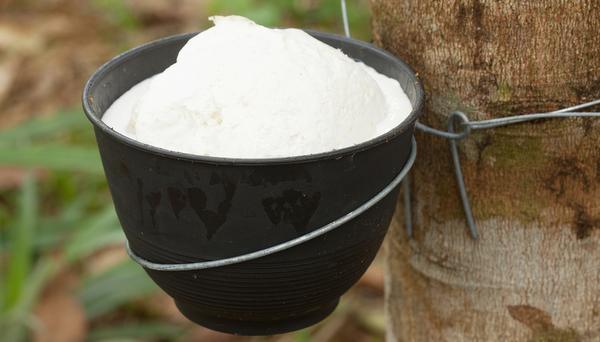 India: Natural rubber output up 5.7% on year