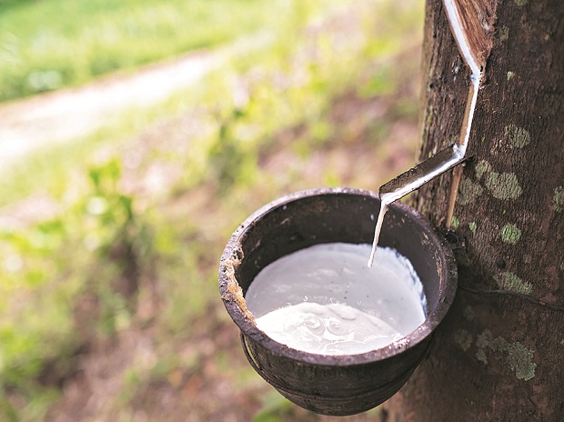 India: Rubber articles