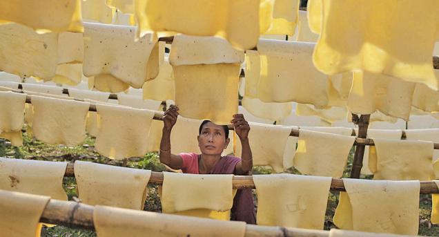 India: Rubber growers pin hopes on rains as supply crunch pushes up prices