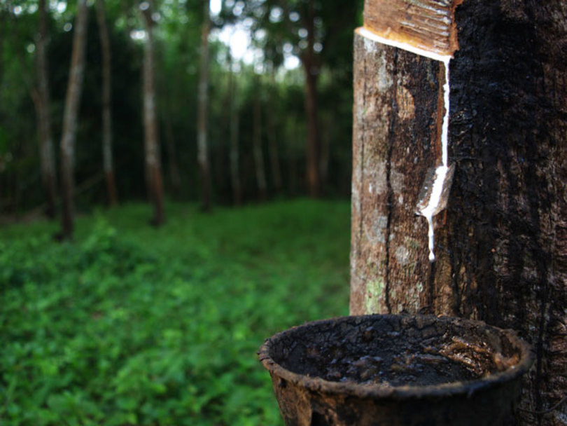 India: Rubber imports may go up as global rates fall