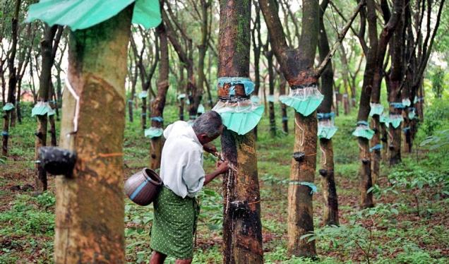 India: Rubber production up 9% in May