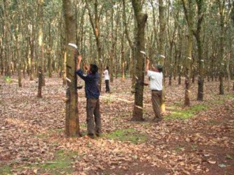 India: Spot rubber stays unchanged