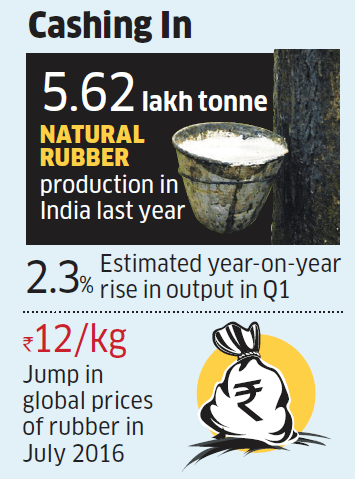 India: Tyre-makers may raise rubber imports