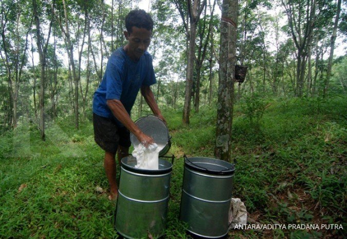 Indonesia: Rubber farmers cry for help