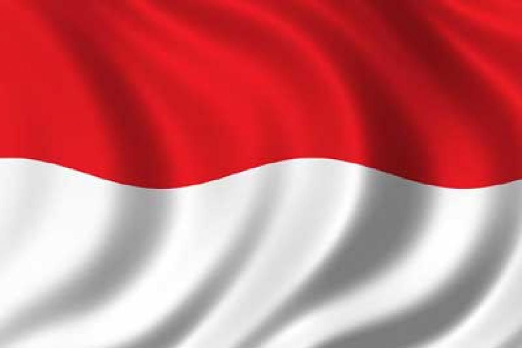 Indonesia’s Feb refined tin exports surge 47pc y/y