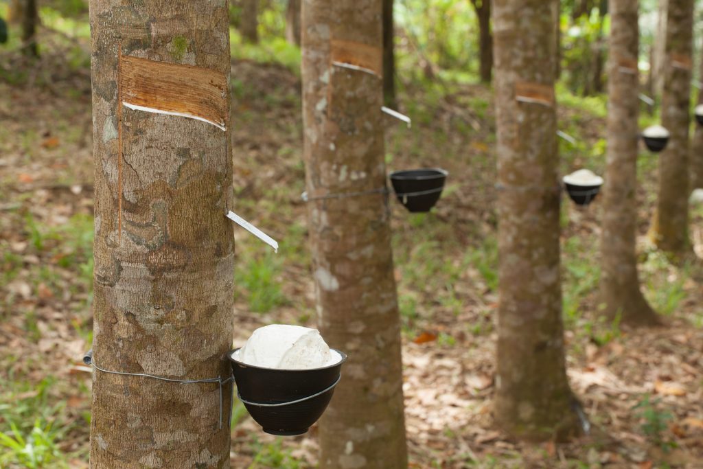 ITRC to discuss rubber price and production