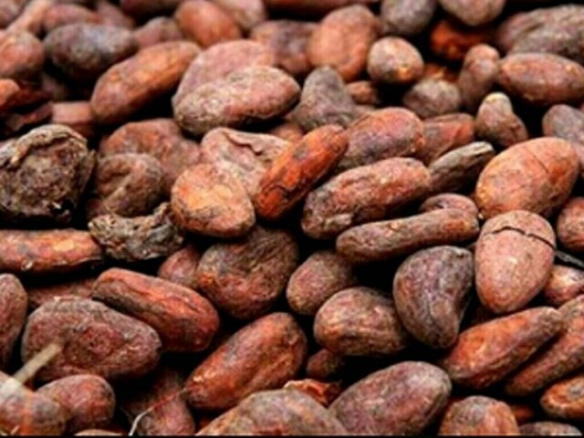 Ivory Coast 2021/22 cocoa arrivals seen at 1.259 mln T by Jan. 23