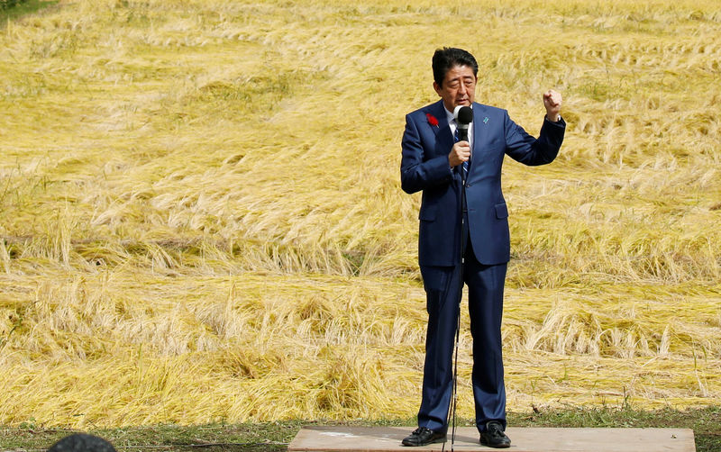 Japan Inc wants Abe election win, but smaller majority