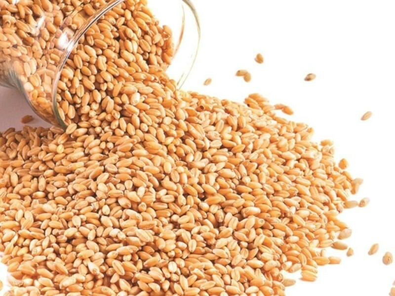 Wheat slips from 3-month highs over supply fears