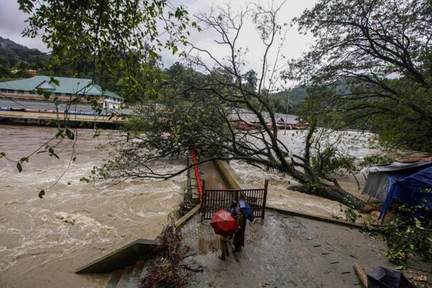 Kerala floods: Plantation industry looking at a loss of over Rs 900 crore