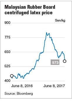 Malaysia: Glove makers’ shares rise on falling rubber prices