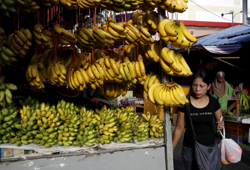 Malaysia January inflation rate seen at 2.9 percent, slowest in over a year: Reuters poll