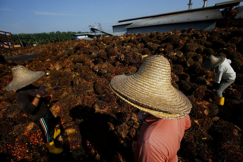 Malaysia says Norway move to ban palm-based biodiesel could hinder EFTA trade talks