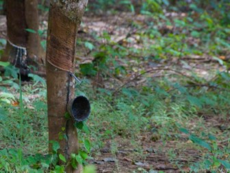 Malaysia: September rubber output higher on month, exports down