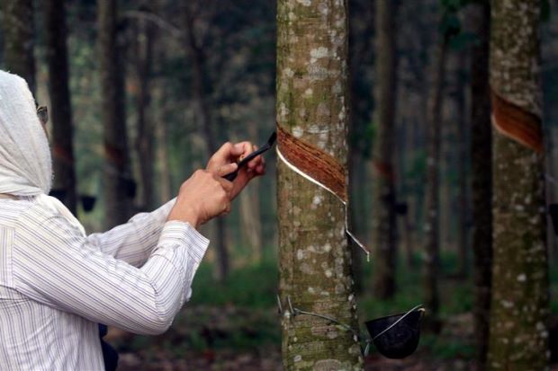 Malaysian Rubber Board introduces e-licensing system