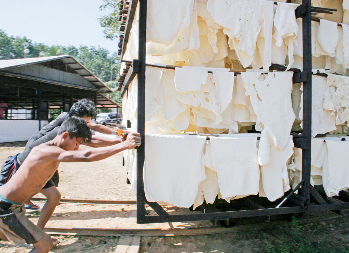 Myanmar rubber exports set to rise even as global prices take a beating