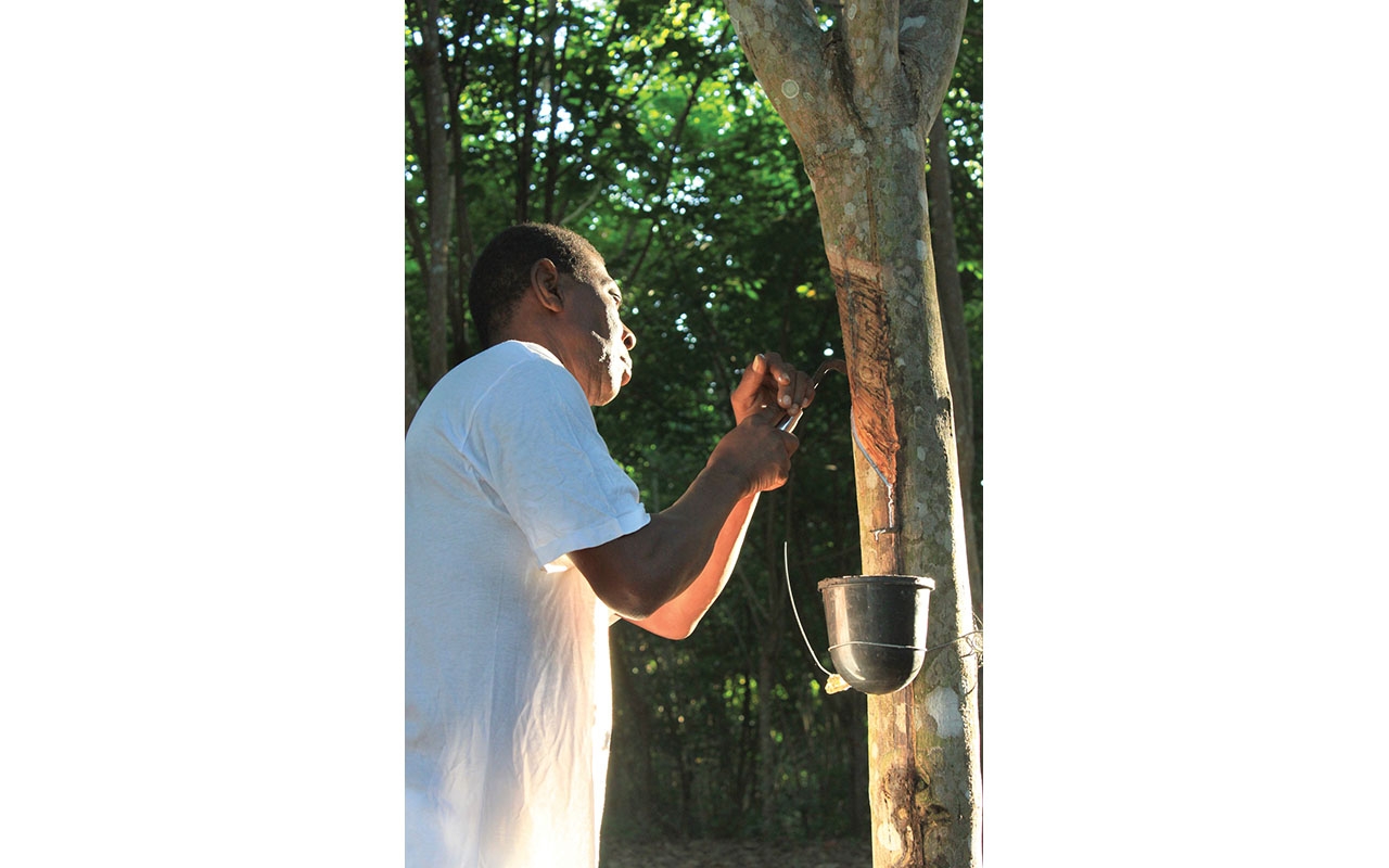 Natural rubber markets weak amid high stock levels, uncertainty