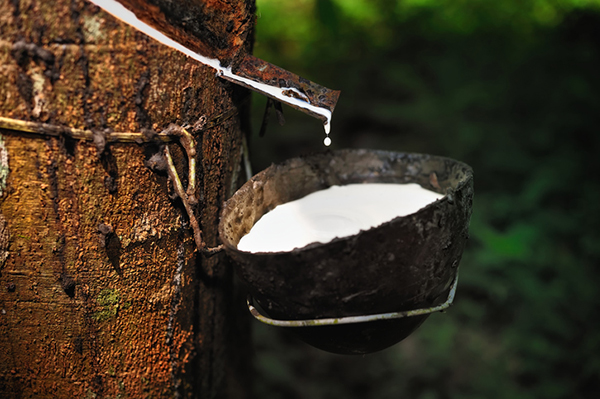 New opportunities for the Thai rubber industry