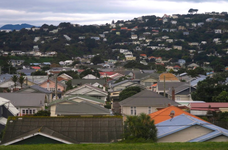 New Zealand passes ban on foreign homebuyers into law