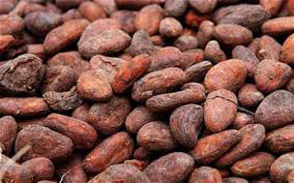 London cocoa hits 4-1/2-year peak; sugar returns higher