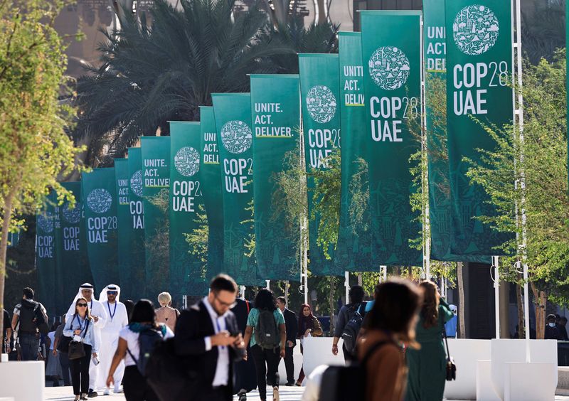 OPEC members push against including fossil fuels phase-out in COP28 deal