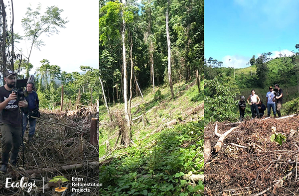 Over 35,000 Trees Planted by Oak Tyres and Ecologi