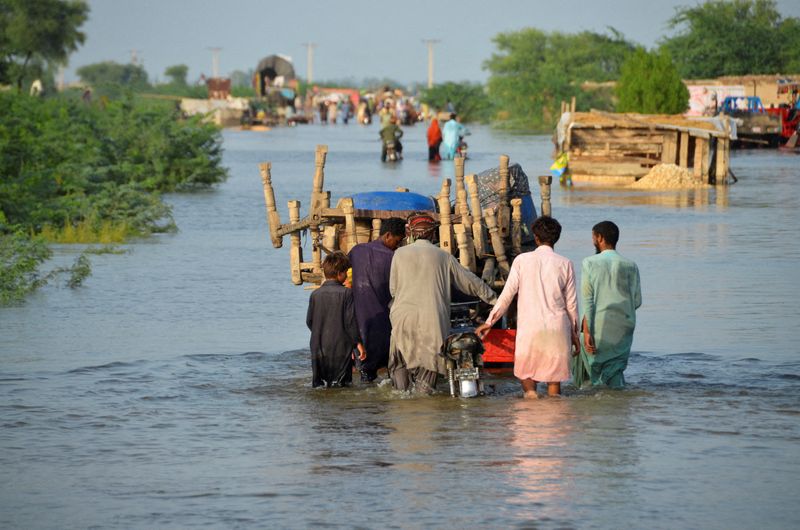 Pakistan floods cost at least  billion, planning minister says