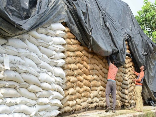 Pakistan tenders to buy 90,000 tonnes wheat, traders say