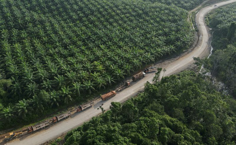 Palm oil buyers switch to cheaper rival oils, hampering price recovery