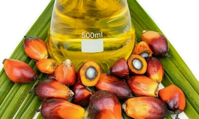 Palm oil jumps nearly 4% on stronger edible oil prices