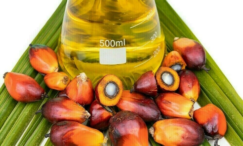 Palm oil may rise into 4,132-4,196 ringgit range