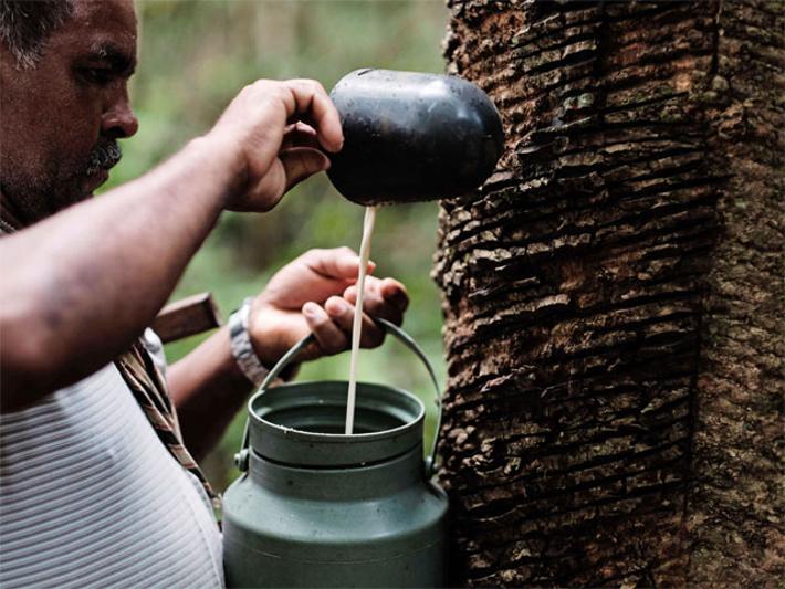 Palm Oil, rubber prices surge on southeast asian flooding