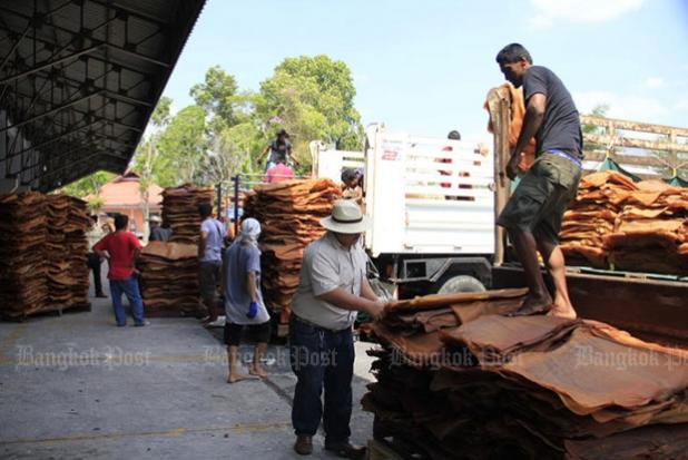 Prayut: No cash subsidy for rubber growers