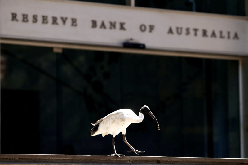 RBA to deliver 25 bp interest rate hike on Nov. 7 - Reuters poll