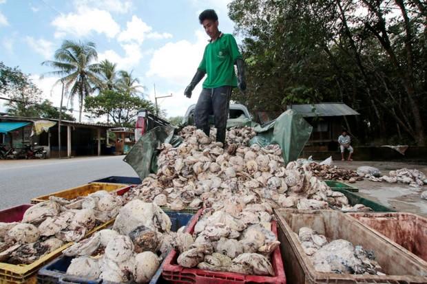 Rubber growers say can maintain exports despite floods