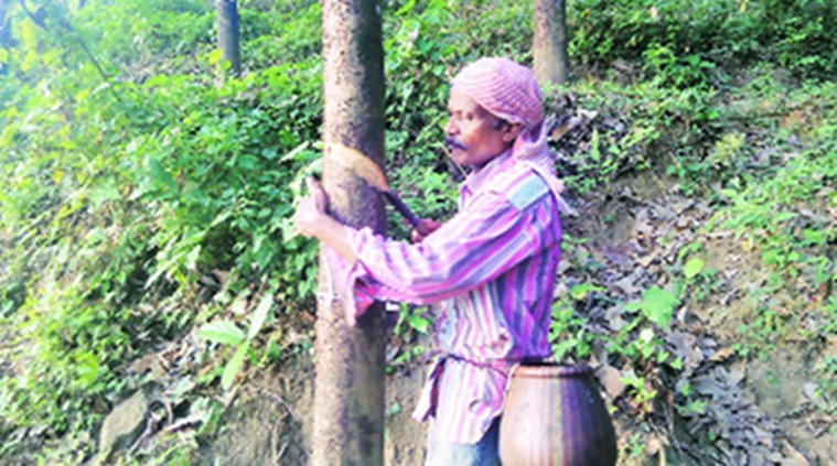 Rubber growers see fortunes rising despite demonetisation