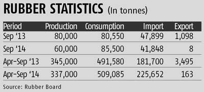 Rubber output slides as prices slump, even as imports surge