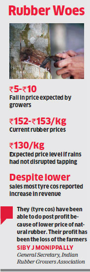 Rubber prices fall sharply, growers fear the worst is yet to come