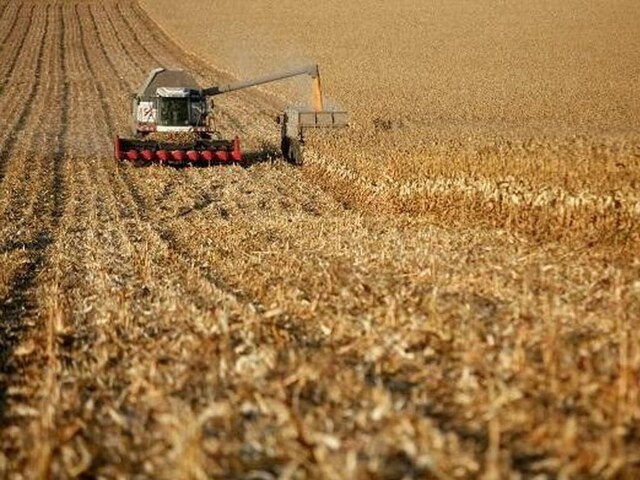 Russian wheat prices rise