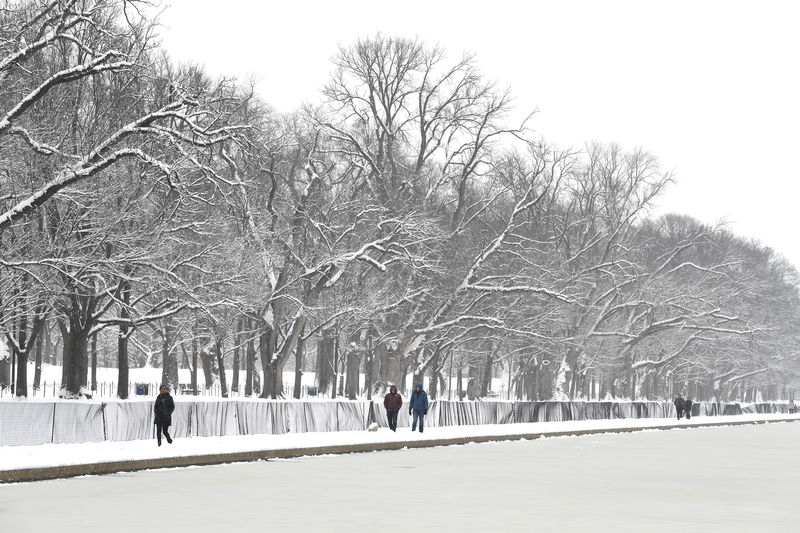 Snowstorm blankets mid-Atlantic U.S., at least seven dead in Midwest