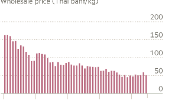 Southern Thailand hit by weak rubber prices