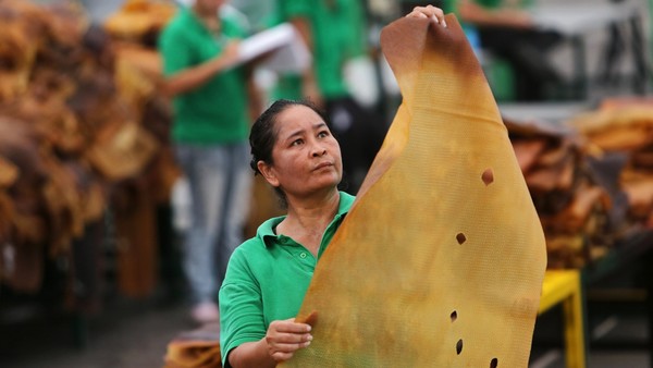 Southern Thailand hit by weak rubber prices