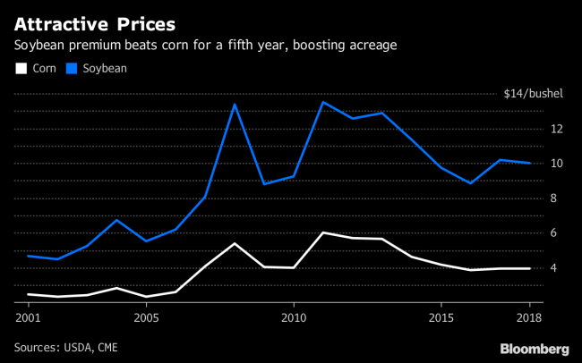 Soybeans Could Dethrone Corn as U.S. Crop King After 35 Years