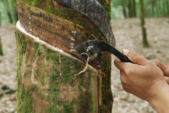 Spot rubber gains on Oct. 17