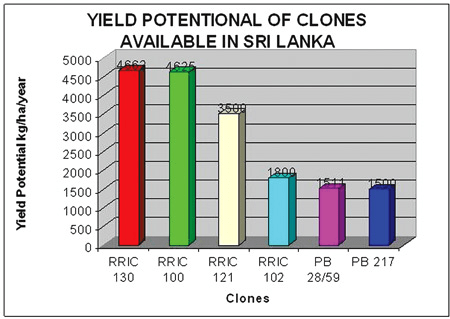 SriLanka: Growing rubber in non-traditional areas and scope of further expansion